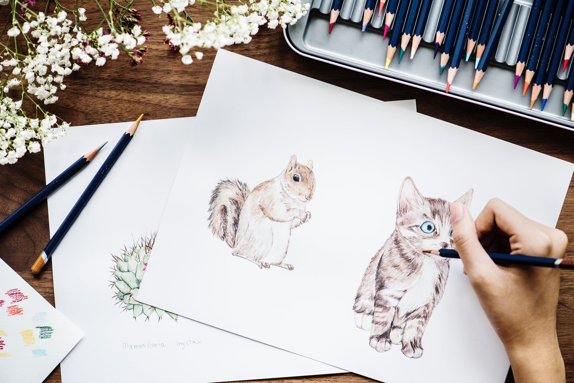 dibujar un muñeco de nieve